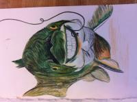 Happy Trout - Colored Pencil Drawings - By Karlee Patton, Illustration Drawing Artist