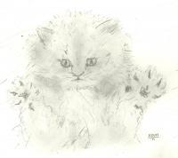 Kitten Hugs - Pencil Drawings - By Paul Sullivan, Traditional Drawing Artist
