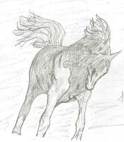 Running Horse - Pencil Drawings - By Paul Sullivan, Traditional Drawing Artist