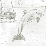 Boat At Dolphin Beach - Pencil Drawings - By Paul Sullivan, Traditional Drawing Artist