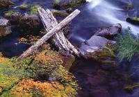 Western Exposures Gallery - Rogue River Fall - Photography