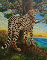 Cape Cheetah - Oil On Canvas Paintings - By Sana Zee, Realism Painting Artist