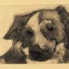 Dog 3-Cardboard Engraving - Cardboard Engraving Printmaking - By D Matzen, Representational Printmaking Artist