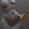 Butterfly - Acrylic Resin Sculptures - By Juergen Rode, Relief Image Sculpture Artist