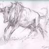 Blue Wildebeest Gnu - Pen And Wash Drawings - By Tony Grogan, Line And Wash Drawing Drawing Artist