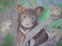 Bear Cub Surprise - Colored Pencil Drawings - By Deidra Smith, Realism Drawing Artist