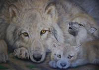 Wolf Cub Serenade - Colored Pencil Drawings - By Deidra Smith, Realism Drawing Artist