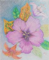 Hibiscus Lightly - Color Pencils Drawings - By Stephen Fontana, Representational Drawing Artist