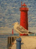 Seagull Muskegon Michigan - Watercolor Paintings - By Wayne Vander Jagt, Impressionistic Painting Artist