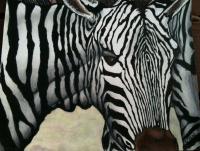 Zebra Racing Sripes - Colored Pencil Drawings - By Carl Parker, Realist Drawing Artist