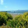 Wildflowers On The Beach - Digital Photography Photography - By Chris Lee, Digital Photography Photography Artist