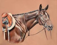 Bay Hunter - Colored Pencil Other - By Maria Dangelo, Realistic Other Artist
