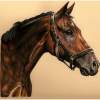 Baltimore - Colored Pencil Drawings - By Risa Kent, Equine Drawing Artist