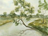 Tree Over The River - Watercolor Paintings - By Hans Aabeck-Ackermann, Impressionist Painting Artist
