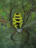 Garden Spider Amoung The Berries - Acrylic Paintings - By Mary Fitzgerald, Acrylic Painting Artist