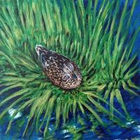 Mallard In The Grass - Acrylics Paintings - By Jonas Alin, Nature Painting Artist