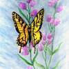 Butterfly - Water Color Paintings - By Elsa Bucio, Watercolor Painting Artist